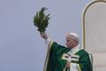 France Pope