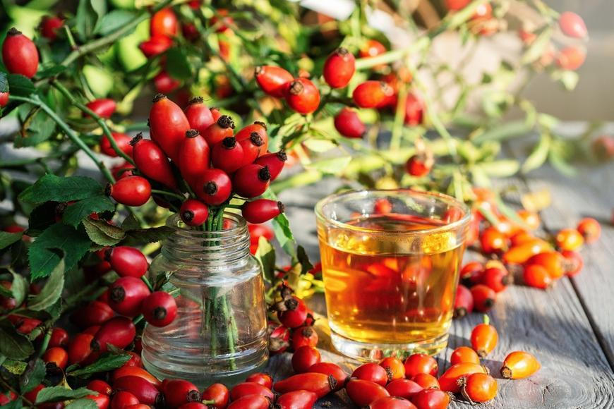 Šípky nejsou zajímavé jen kvůli vitaminu C. Vědci zkoumali i jejich vliv na bolavé klouby