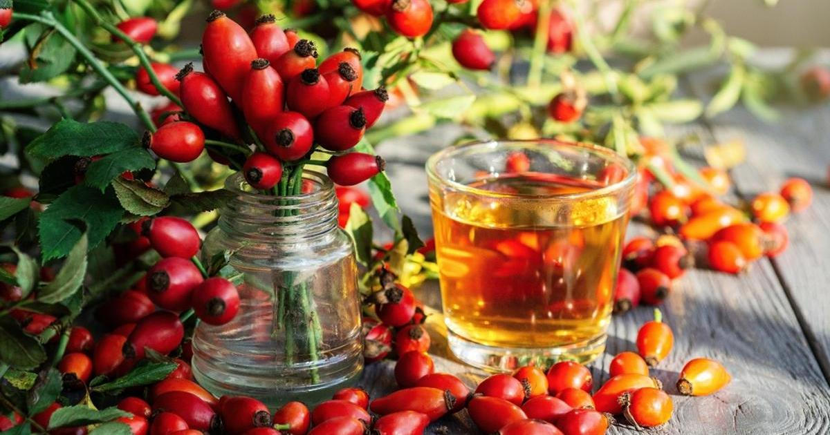 Pijete šípkový čaj kvůli vitaminu C? Výzkum ukázal, kolik ho do sebe skutečně dostanete