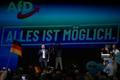 Germany Election