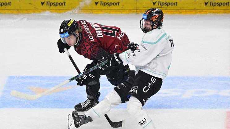 Marek Daníček, Petr Tomek