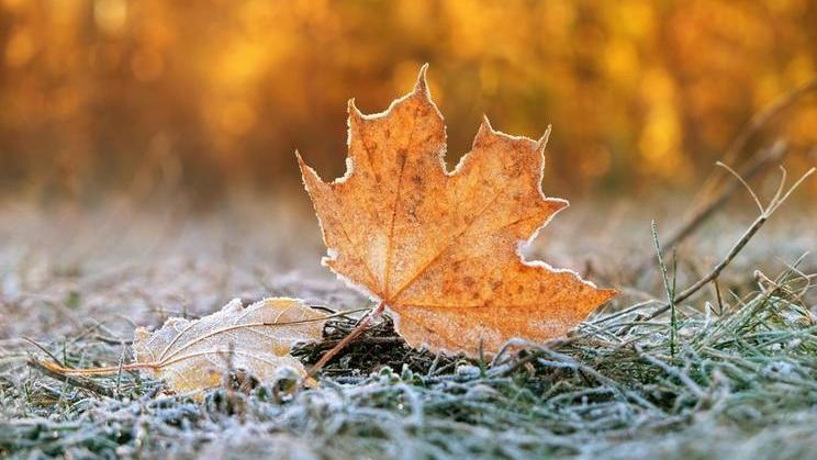 Ve druhé polovině září podle meteoroložky Dagmar Honsové překročily denní teploty povrchu moře v rovníkové oblasti Pacifiku průměr o více než tři stupně Celsia.