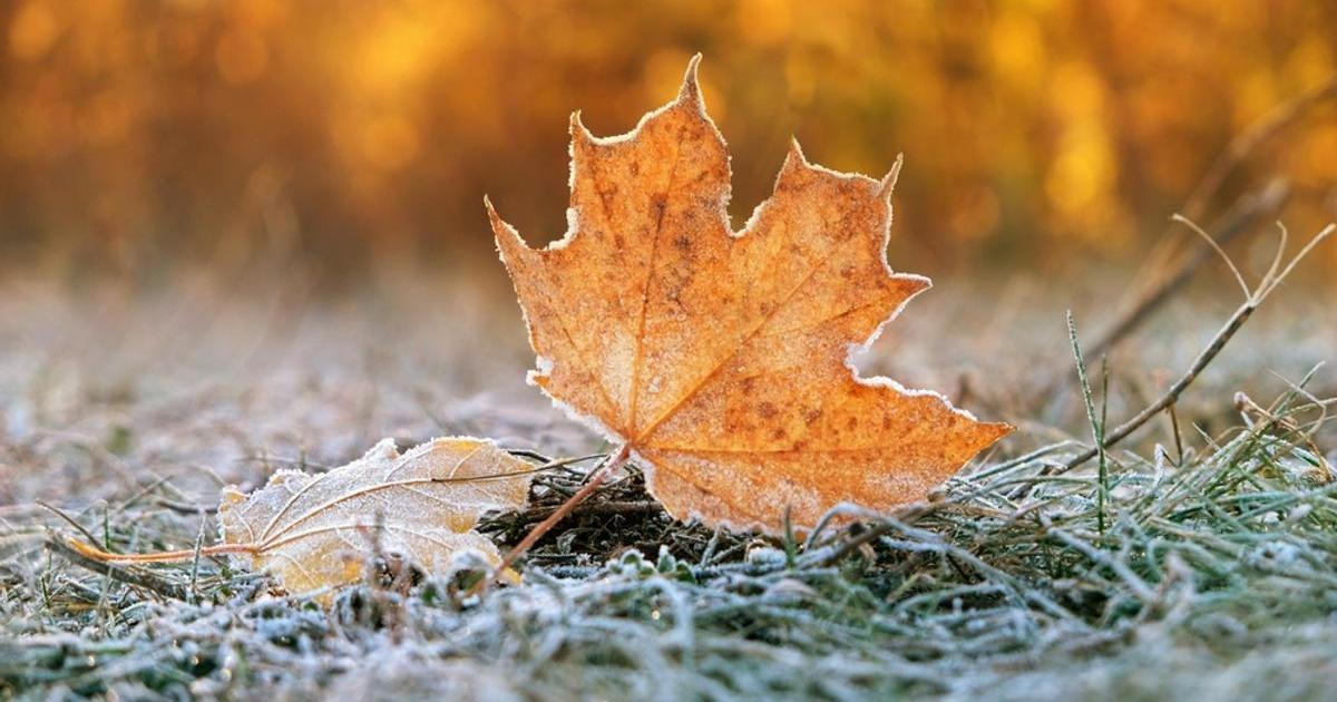 Rekordní El Niño sílí. Meteorologové varují, že česká zima může překvapit