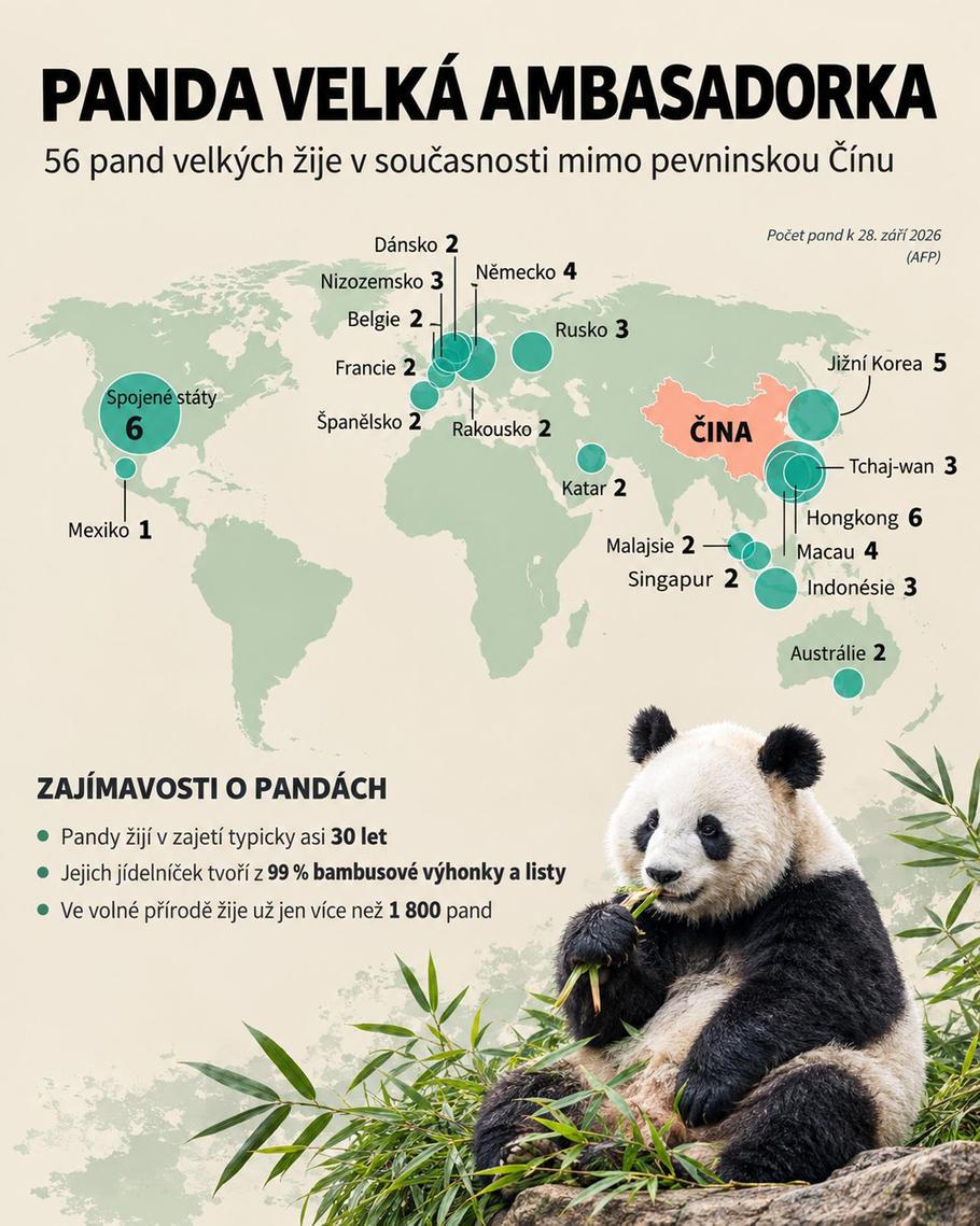 Pandí diplomacie