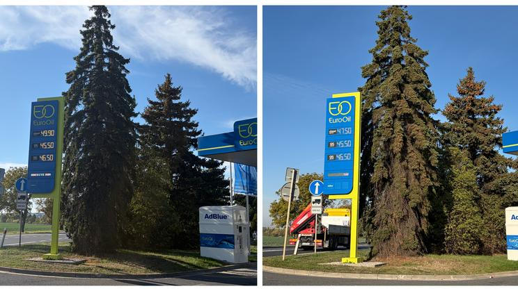 Porovnání cen PHM ve středu a čtvrtek ráno po zavedení regulace.