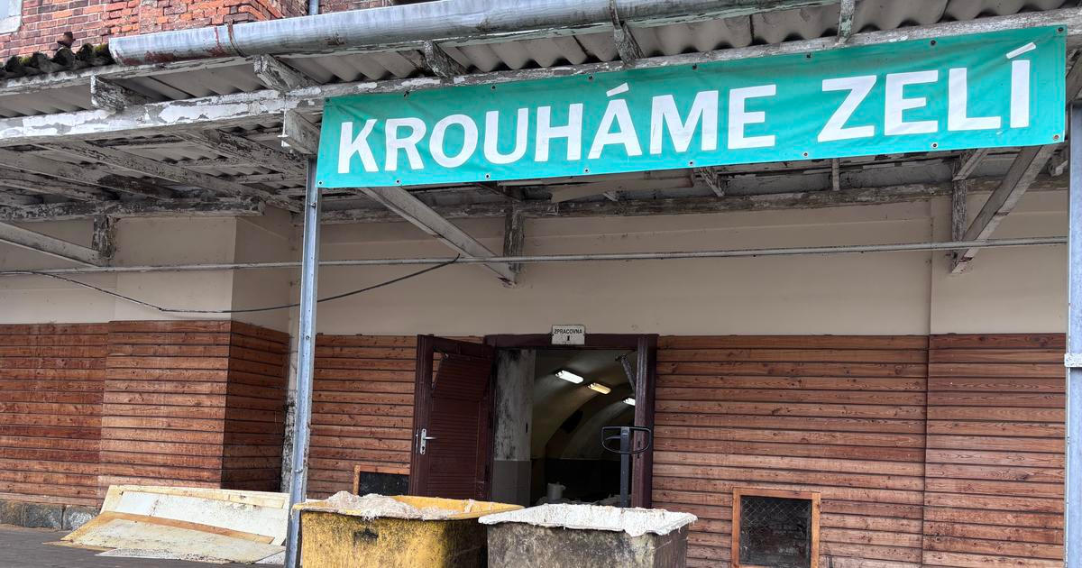 Obrazem: Poslední den Křimického zelí. Podívejte se, jak v září zanikla dobře nakyslá tradice