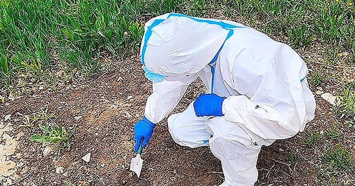 Rusové můžou tajit únik jiného patogenu. „S tím morem je to podivné,“ tvrdí expert