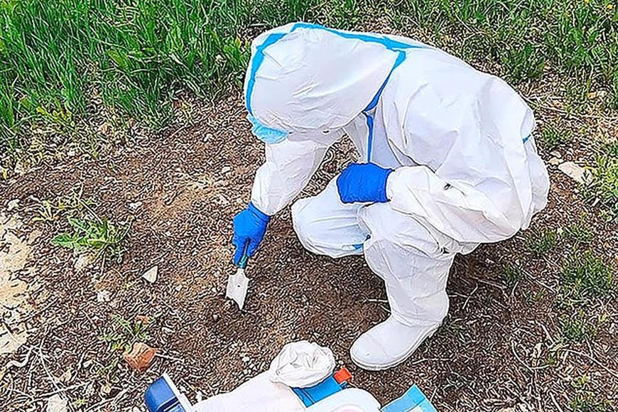 „S tím morem je to podivné,“ říká Prymula. Rusové možná tají únik jiného patogenu