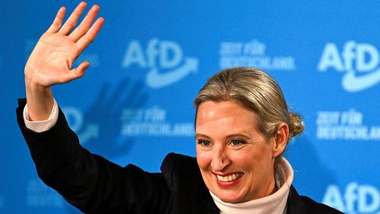 Alice Weidelová, AfD
