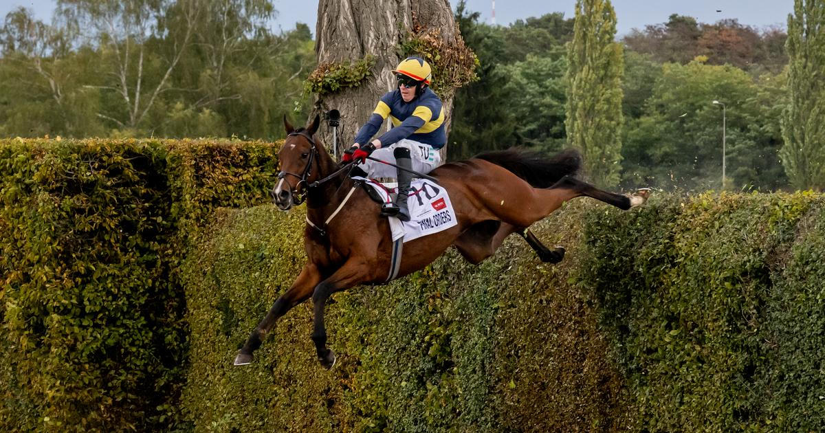 Vedl Sportovní tragédie na Pardubické. Vedl s obrovským náskokem, pak přišla ...