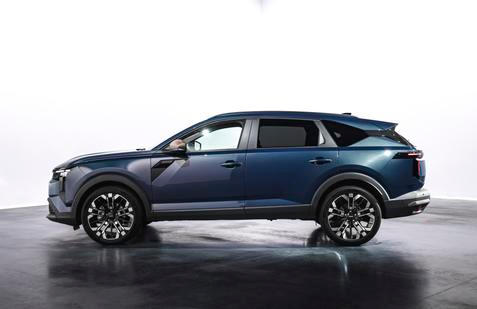 Dacia Striker