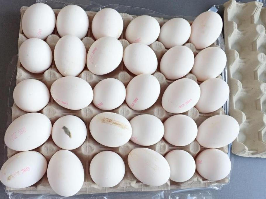 V královéhradeckém Lidlu inspektoři našli poškozená a plesnivá vejce.