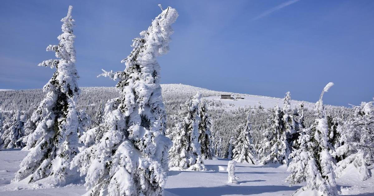 Jestli chceme bílé Vánoce, přesuňme je na konec ledna, říká meteoroložka