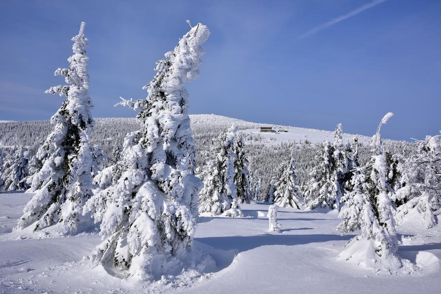 Chcete bílé Vánoce? Měli bychom je slavit v lednu, říká meteoroložka Honsová