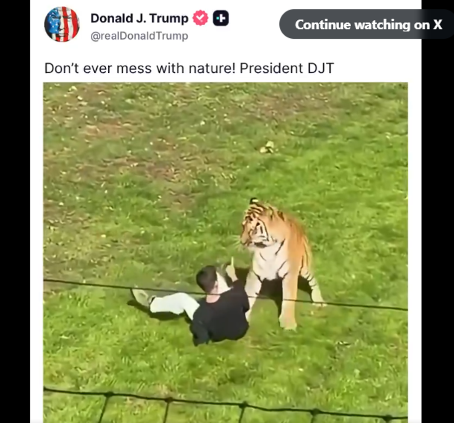 Záběr z původního videa s Williamem Chapmanem, které sdílel americký prezident Donald Trump.