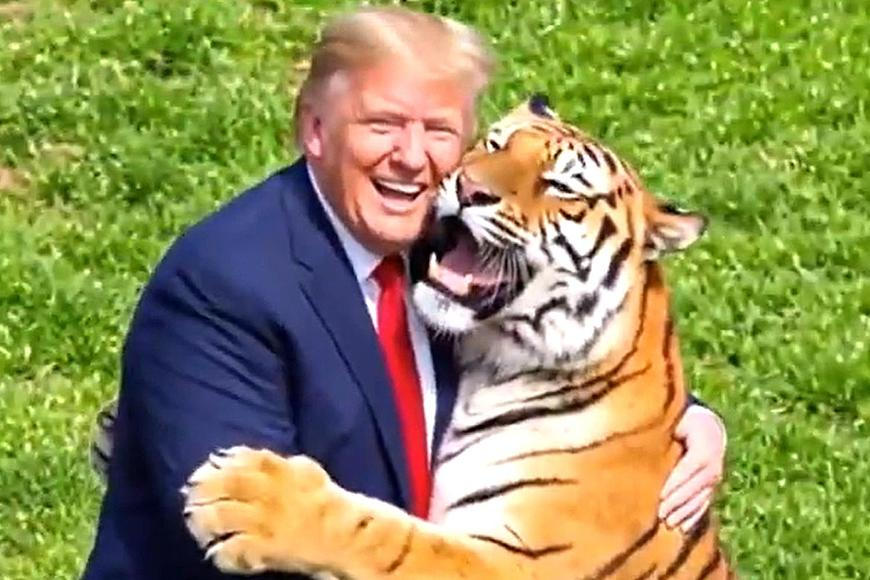 Trump parodoval smrt duševně nemocného muže, kterého zabil tygr