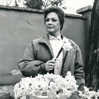 Jana Hlaváčová