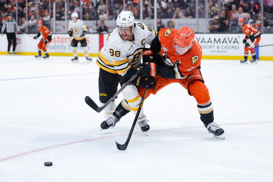 Bruins pokazili Dostálovi čísla, Pastrňák překonal legendu. Zářil i Nečas