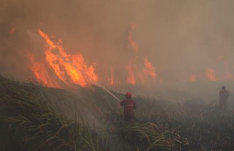 Wildfire breaks out in Indonesia