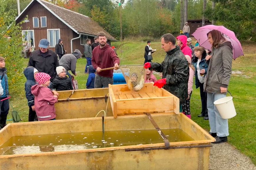 Výlov bez vypuštění vody. Víska na Vysočině uspořádala rybářské Slavnosti sněženek