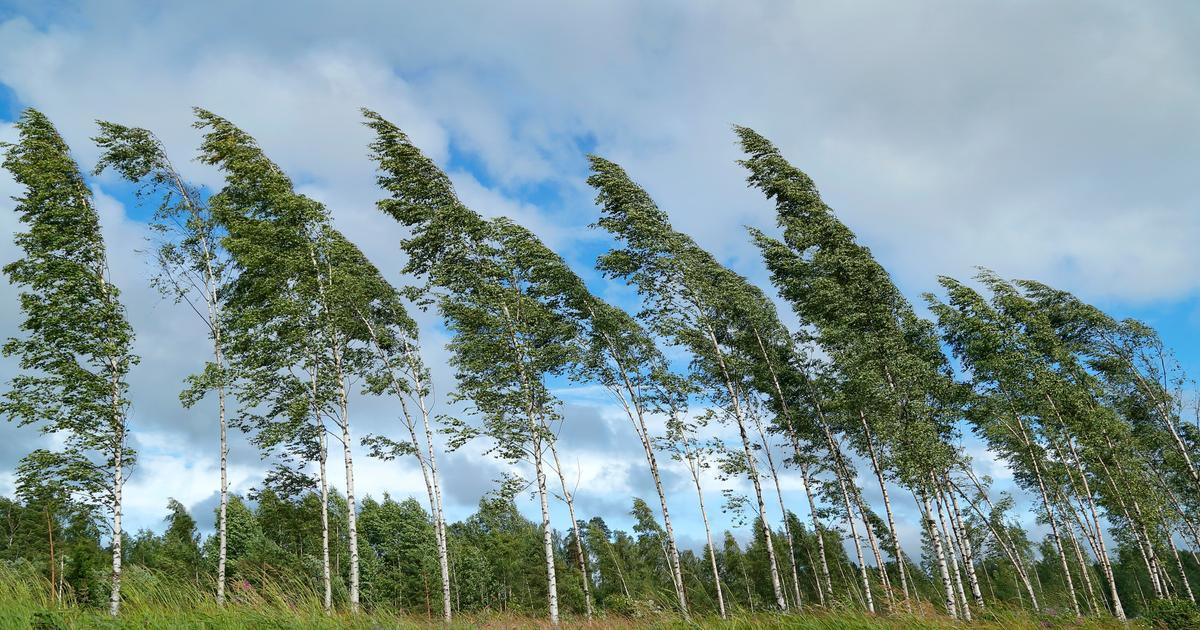 Část Česka zasáhne silný vítr, zní výstraha. Zajistěte okna, radí meteorologové