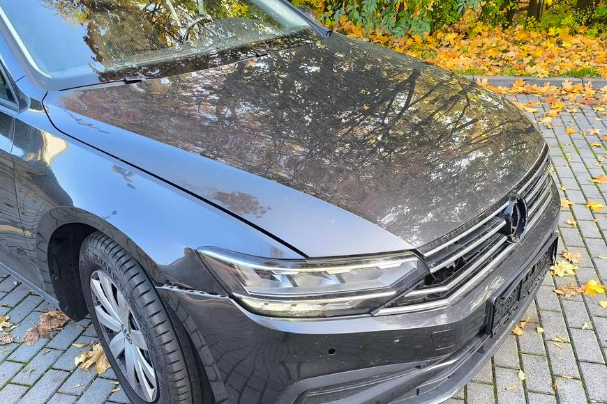 Passat trefil srnu, viník odskákal pryč. Policie má v takových případech jasno