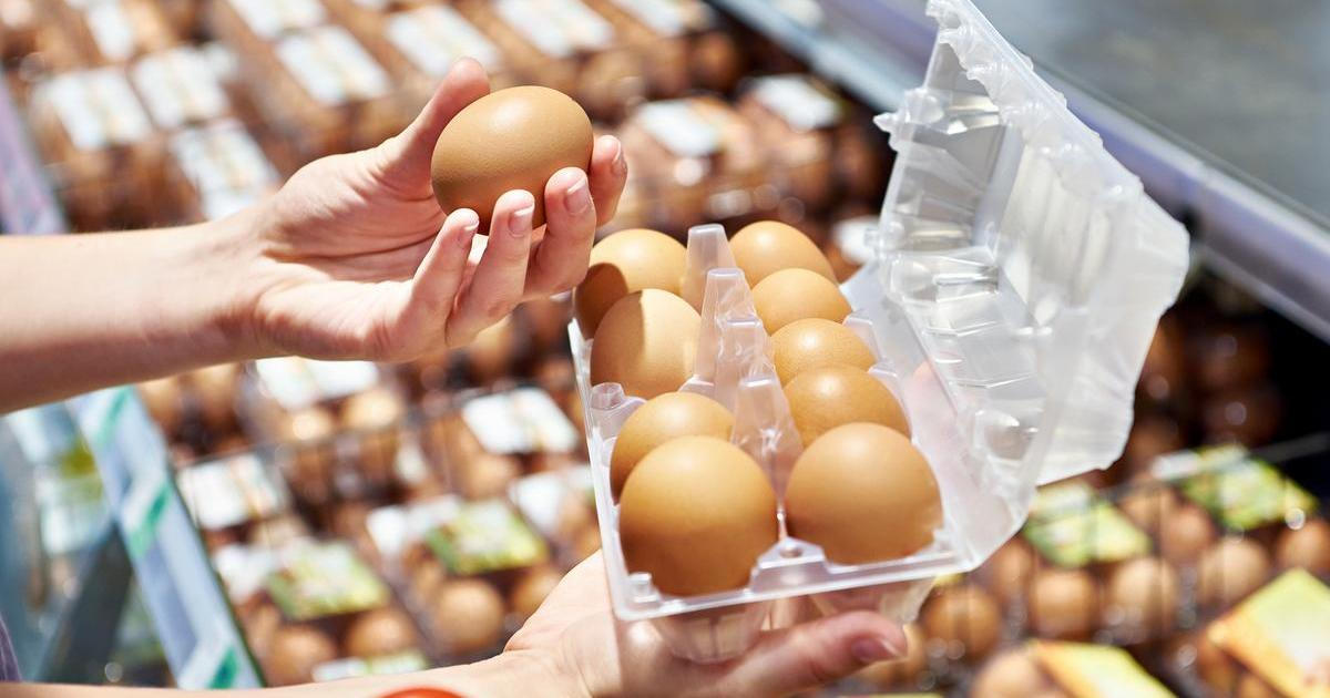 Velký vaječný podvod: Proč barva žloutku o skutečné kvalitě neříká vůbec nic?